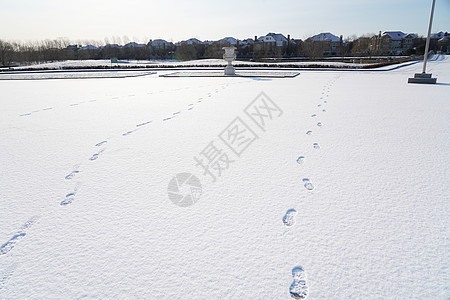 雪景图片