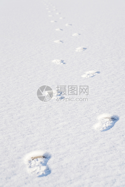 雪景图片