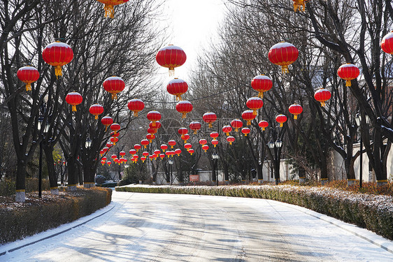 别墅区雪景图片