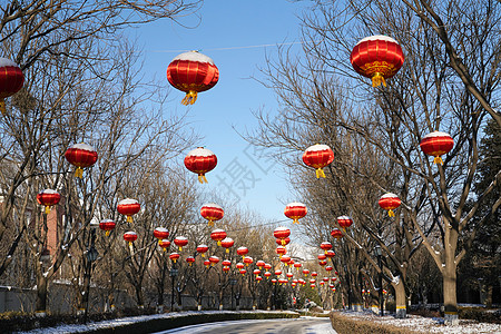 别墅区雪景图片