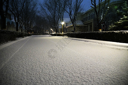 别墅区雪景图片