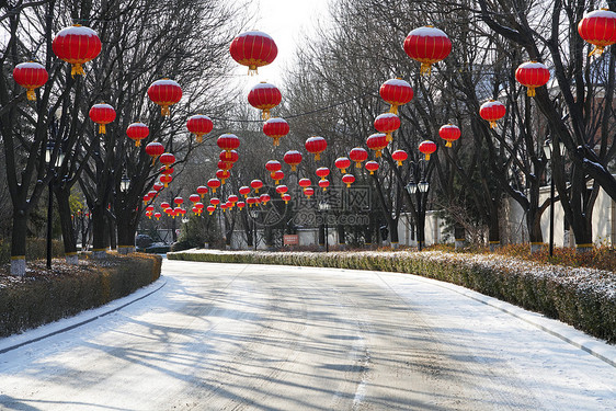 别墅区雪景图片