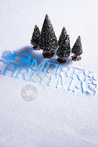 雪地上的松树和圣诞节英文图片