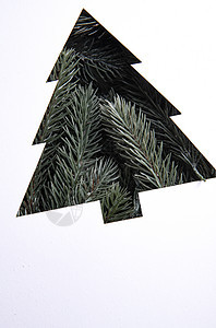 松针圣诞树图片