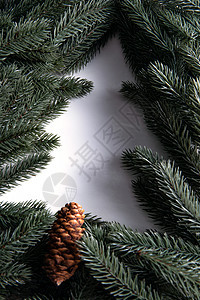 松针组成的圣诞树图片