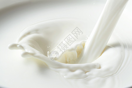 牛奶蒙古奶制品高清图片