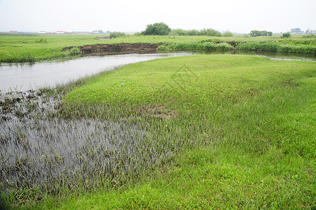 河北省承德坝上草原风光图片