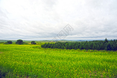 承德坝上素材河北省承德坝上草原风光背景