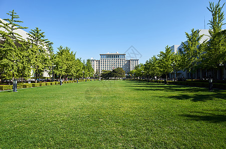 大学建筑北京清华大学校园背景