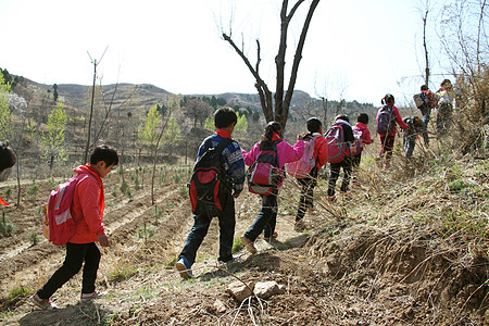 乡村小学生走在山路上图片