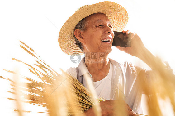 老农民在打电话图片