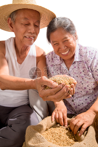 老年夫妇捧着稻谷图片