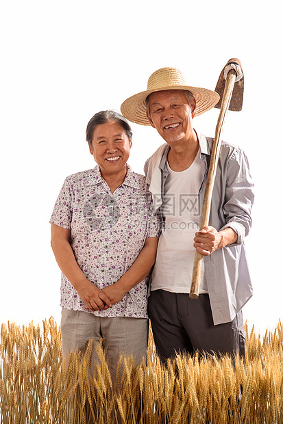 老年夫妇在麦田图片