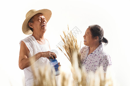 老年夫妇在麦田图片