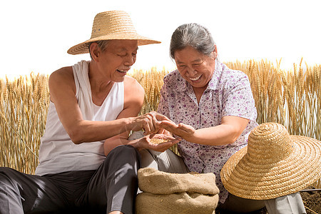 老年夫妇捧着稻谷图片