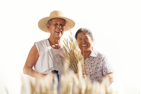 老年夫妇在麦田图片