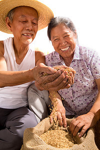 老年夫妇捧着稻谷图片