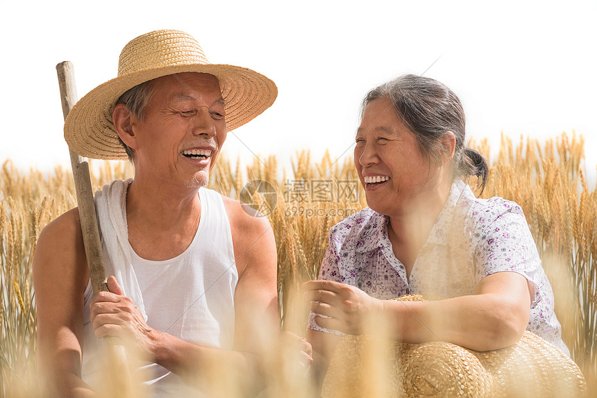 老年夫妇在麦田图片