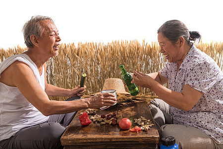 老年夫妇在麦田图片