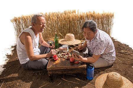 老年夫妇在麦田图片