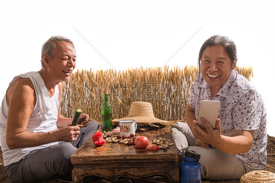 老年夫妇在麦田图片