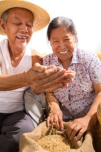 老年夫妇捧着稻谷图片