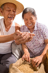 老年夫妇捧着稻谷图片