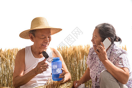 老年夫妇在麦田图片