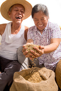 老年夫妇捧着稻谷图片