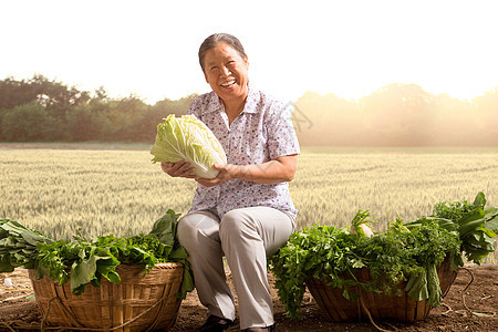 菜农拿着大白菜图片