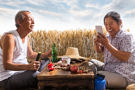 老年夫妇在麦田图片