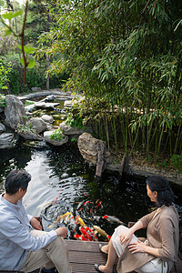 在花园池塘里老年夫妇在院子里喂鱼背景