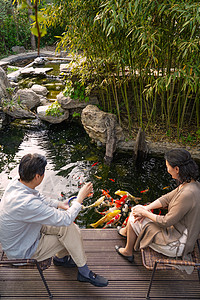 在花园池塘里老年夫妇在院子里喂鱼背景