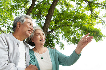 老年夫妇在公园里散步图片