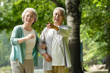 老年夫妇在公园里散步图片