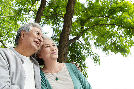 老年夫妇在公园里散步图片