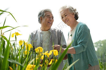 老年夫妇在公园里欣赏花卉图片