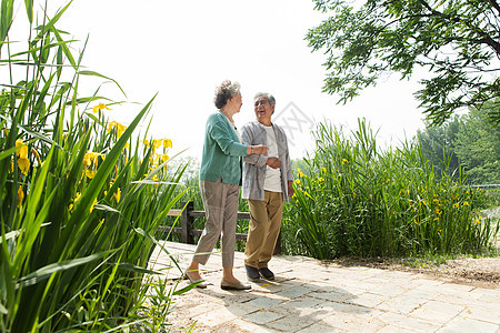 老年夫妇在公园里散步图片