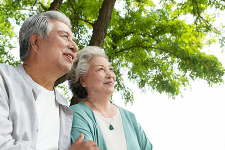 老年夫妇在公园里散步图片