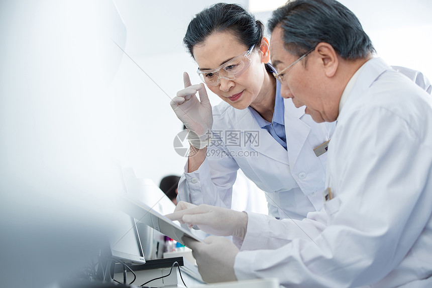 专家预测双方得分走势与最终胜负概率