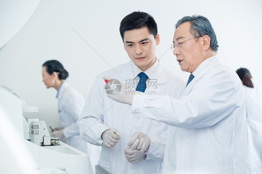 专家深度剖析纽约尼克斯近期表现与关键球员状态对比分的影响