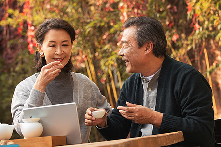 老年夫妇在庭院内使用平板电脑图片