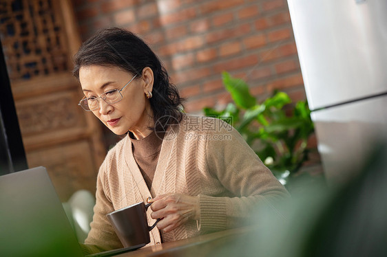 休闲的老年女人使用笔记本电脑图片