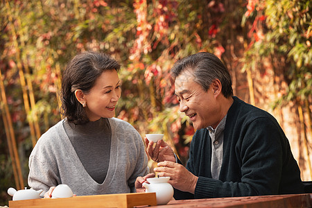 老年夫妇在庭院内品茶图片