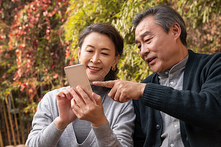 老年夫妇在庭院使用手机图片