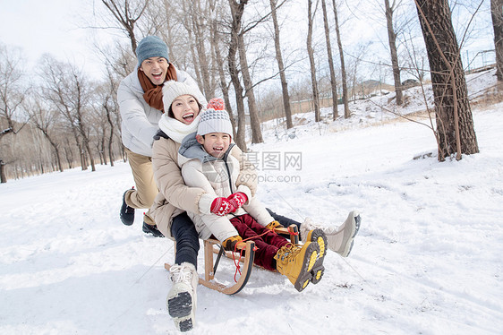 推着雪橇玩耍的一家人图片