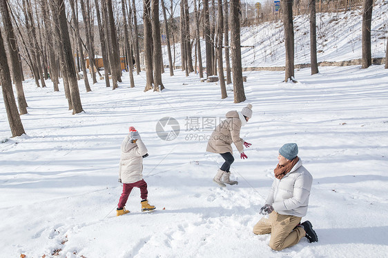 打雪仗的快乐家庭图片