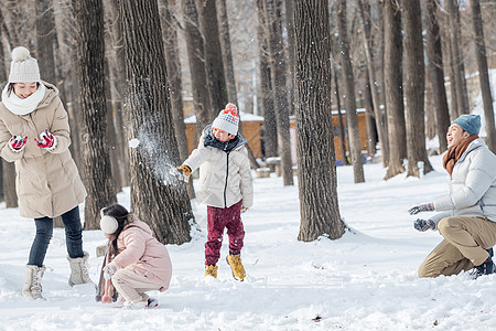 雪树林雪地里打雪仗的一家人背景