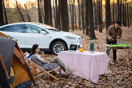 幸福夫妇在户外野餐图片