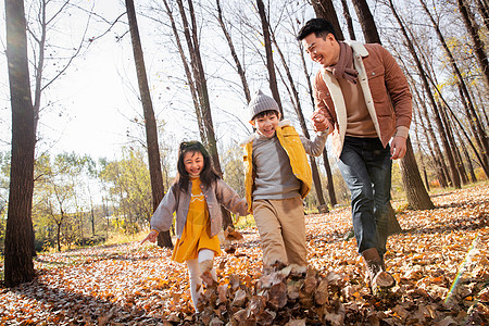 快乐的孩子们和父亲在户外踢树叶图片